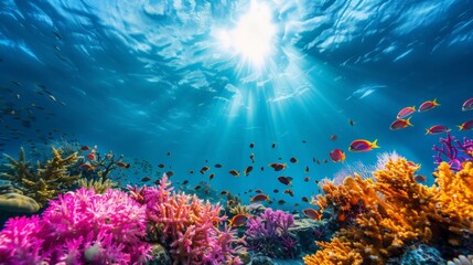 Obraz premium Discover the importance of marine science, where oceanography and marine biology explore and protect the health of our oceans.