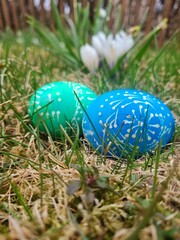 easter eggs in the grass
