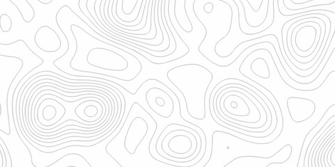 	
The stylize topography landscape grid map and counter wave line geometric wire outline area design. nature strip diagram topographic creative concept discovery line map texture background.