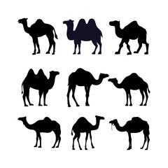camel silhouette any pose illustration