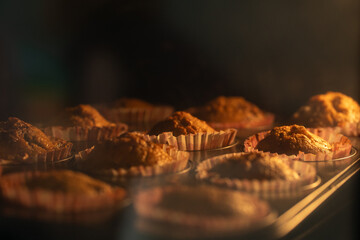 A tray of warm, freshly baked chocolate cupcakes, perfect for a birthday celebration or a delicious dessert