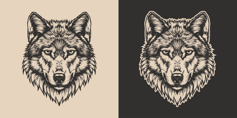 Obraz premium Vintage retro engraving woodcut style sketch draw paint of head face portrait wild animal wolf predator illustration