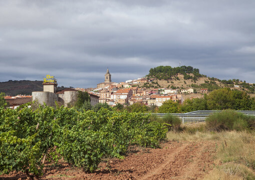 Camino de Santiago, Navarrete, Spain - July 24, 2023: Summer view of vineyard on ocher field against houses of a farming village
