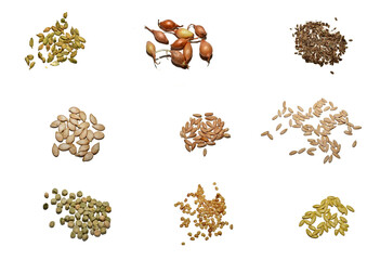 A collage of nine photographs showing various seeds on a white background. Created with GIMP