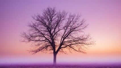  tree with sunset background and purple fog,
