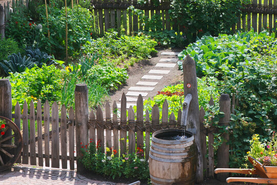 Bauerngarten mit vielen Gem&uuml;sepflanzen und Holzwasserfass