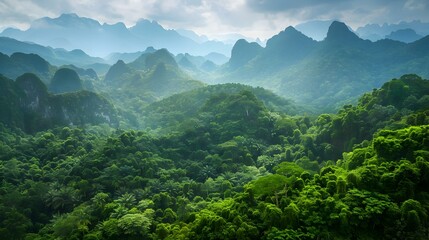 Fototapeta premium Karst hills in a tropical forest rising picture