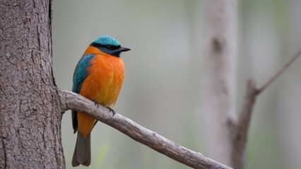 Naklejka premium a bird is sitting near a dead tree,