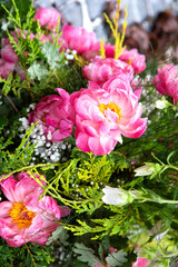 Pink flowers in a natural setting with greenery around them