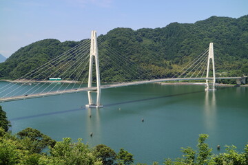 美しい吊り橋