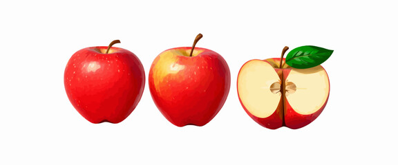 Apples with different stages of ripeness