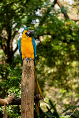 2024-Colombie-0146
