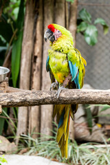 2024-Colombie-0205