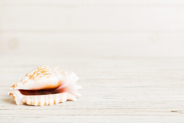 Summer time concept with sea shells or starfish on a table background with copy space for text