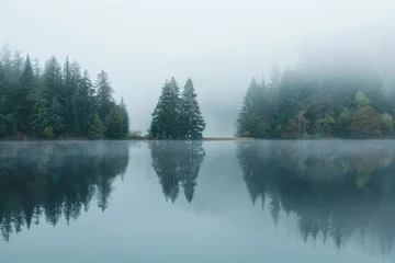 misty foggy Kinfolk minimalist landscape - trees reflected in calm forest lake, peaceful ambiance and reflective beauty of the natural surroundings, serenity and tranquility meditation backdrop