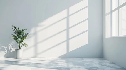 Obraz premium A lone palm tree is illuminated by sunlight in a bright room