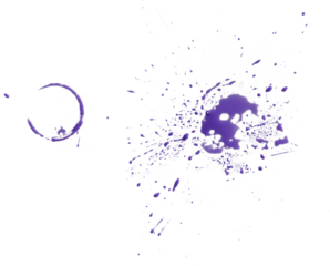 Purple Paint Splashes and Cup Ring 3