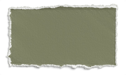 Sage Deckled Edge Landscape Paper 2