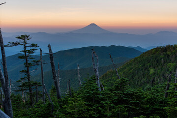 Fototapeta premium 夏の国師ヶ岳から夜明けの富士山