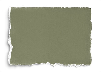 Sage Handmade Paper 3