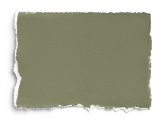 Sage Handmade Paper 3