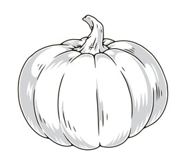 Organic pumpkin vintage sticker monochrome