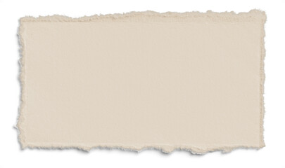 Vintage Deckled Edge Landscape Paper 2