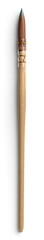 Watercolor Brush with Paint 1