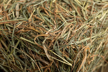 Dehydrated Dried Grass for hay production in agriculture