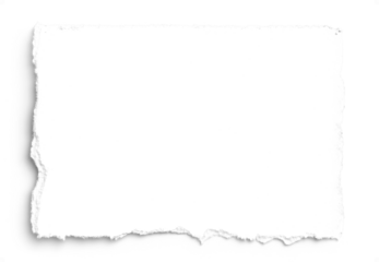 White Deckled Edge 7x5 Paper 2