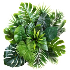 Green_leaves_of_tropical_plants_bush_floral_arrangement