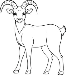 Urial coloring page vector line art