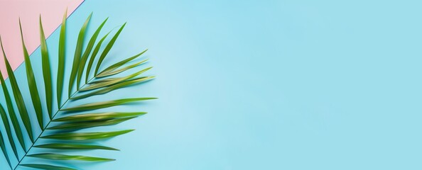 Fototapeta premium Palm leaf on a pastel blue background. Summer atmosphere, bright background, sunny summer. Advertising concept for cosmetics, information, stories. Copy space. Place for text.