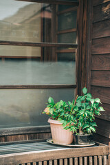 古民家の軒下に置かれた植木鉢
