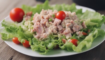 Tuna salad tomato green leaf lettuce onion healthy eating cooking appetizer meal food snack 
