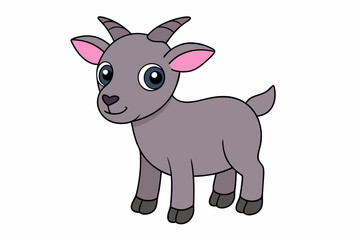 baby goat