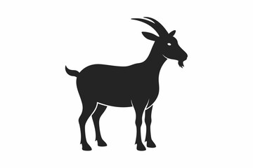 goat isolated on white