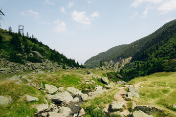 Beautiful aerial summer view of the forest in the mountains and valley or hills.	
