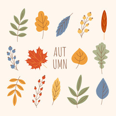 Autumn banner with beautiful leaves and modern typography. Autumn square background. Trendy minimal style. Vector template for card, poster, banners, invitation, social media post