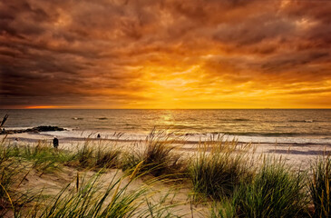 sunset over the sea