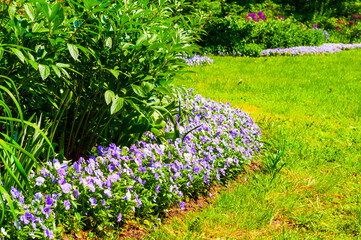 Fototapeta premium Garden with fresh green grass, flowers, bushes and trees. Garden landscape design Fresh grass lawn, curve form flowers