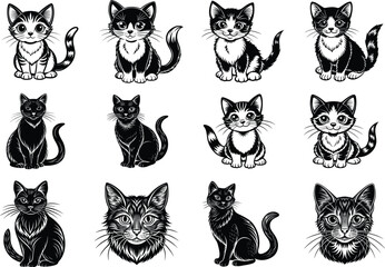 Fototapeta premium Cute Adorable cat silhouette vector