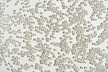 White beads background. White beads on white. White background.