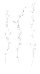 Set of small botanical leaves branches with hand drawn in line art