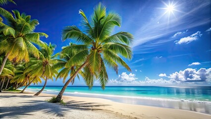 Tropical beach with palm trees under a clear blue sky , palm trees, beach, tropical, vacation, paradise, sand, summer