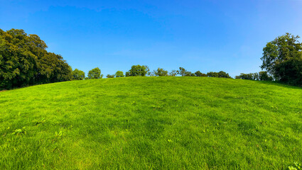 Vibrant Green Field Under Clear Blue Sky, Perfect for Text Overlay