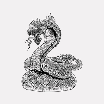Vintage engraving japanese dragon illustration snake ink sketch