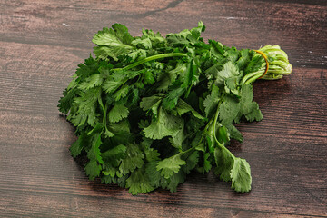 Fresh green cilantro branches heap