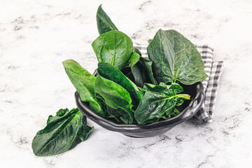 Ripe green spinach leaves heap