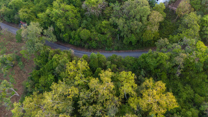 Aerial view of Road and natural green forest.